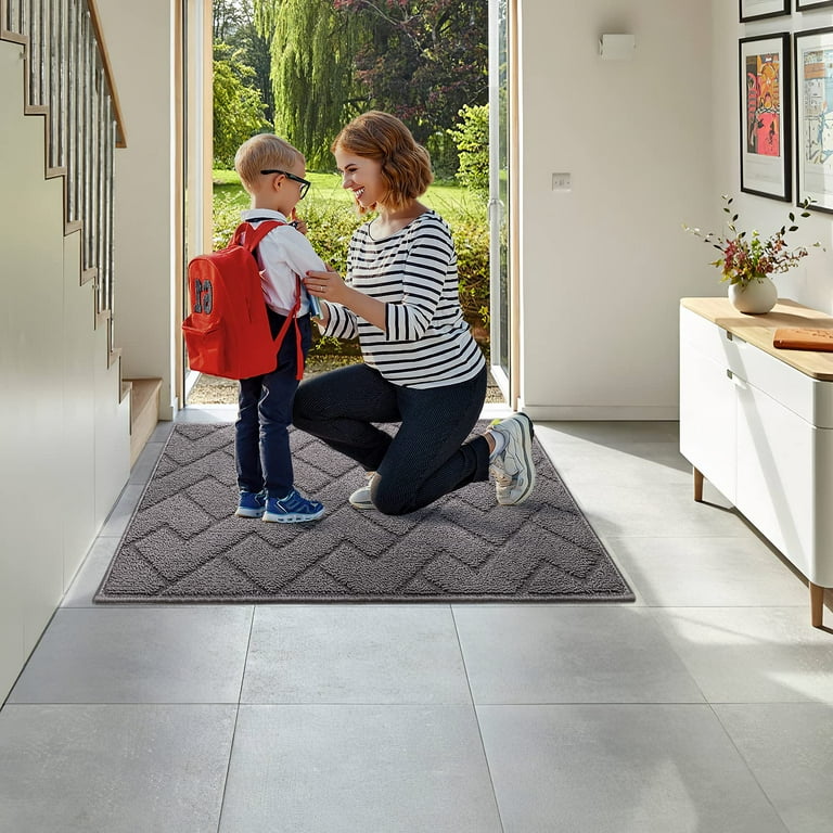 WISELIFE Door Mat Indoor Outdoor Floor Mat,20 inchx32 inch, Non-Slip Absorbent Front Back Doormat Entryway Rugs, Low Profile Resist Dirt Door Mats for