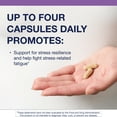 thumbnail image 4 of Metagenics Adreset - Adaptogen Supplement - Fatigue Relief* - With Asian Ginseng & Cordyceps - Non-GMO & Gluten-Free - 180 Capsules, 4 of 8