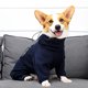 thumbnail image 3 of Ropa de Invierno para Mascotas Perros Grandes y Pequeños Ropa Caliente de Otoño e Invierno Color Sólido Engrosada Cremallera Envolver Ropa Calor al Aire Libre, 3 of 5