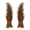 Dimond Home Cocoa Twig in Natural (Set of 2)