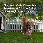 Apoquel (Oclacitinib) Chewable Tablets for Dogs, 16 mg