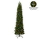 thumbnail image 5 of Árbol de Navidad National Tree Company de 9 pies con luces LED, 5 of 6