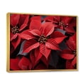 thumbnail image 2 of Designart "Red Poinsettias landscape II" Floral Floater Framed Wall Decor, 2 of 7