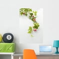 thumbnail image 1 of Ivy and Roses Wall Decal by Wallmonkeys Peel and Stick Graphic (36 in H x 24 in W) WM289588, 1 of 4