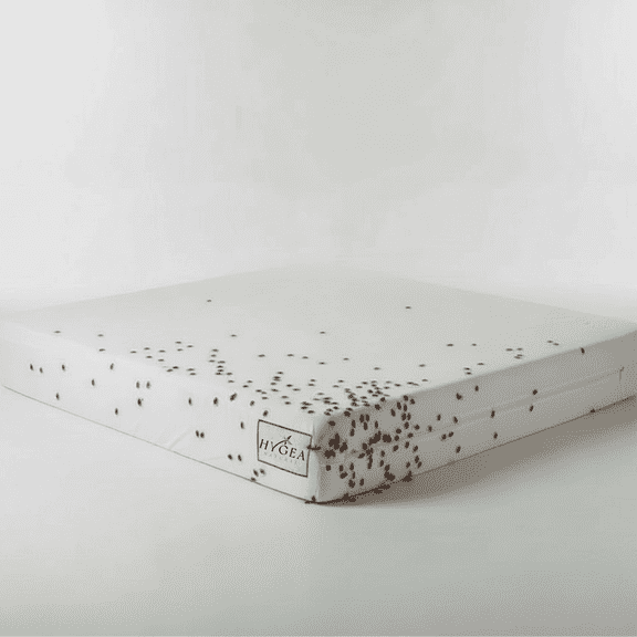 Hygea Natural Luxurious Bed Bug Mattress Protector Cover Zipper Bedding, Waterproof, Twin