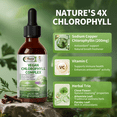 thumbnail image 2 of Chlorophyll Liquid Drops - 4X Concentrated, Supports Natural Cleansing & Immune Health, Skin & Gut Health, Vegan, Sugar-Free, 1 FL.OZ, 2 of 6