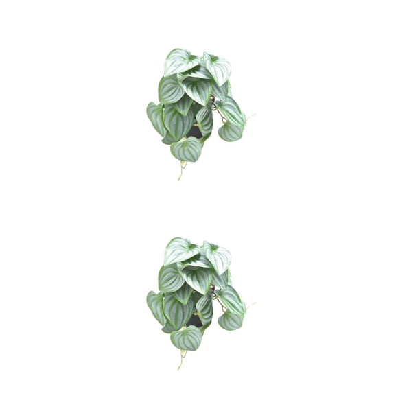 Matsuzay decoraciones realistas para terrarios apariencia realista Degradable Artificial Type1 NO1