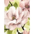 thumbnail image 3 of Popp, Grace 12x14 Black Modern Framed Museum Art Print Titled - Blush Magnolia II, 3 of 5