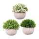 thumbnail image 1 of Mini plantas artificiales para mesa del hogar, oficina, habitación, escritorio, decoración de repisa de granja, 1 of 5