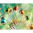 thumbnail image 2 of Cadloff, Robert 14x12 Gold Ornate Wood Framed with Double Matting Museum Art Print Titled - Candyland, 2 of 4
