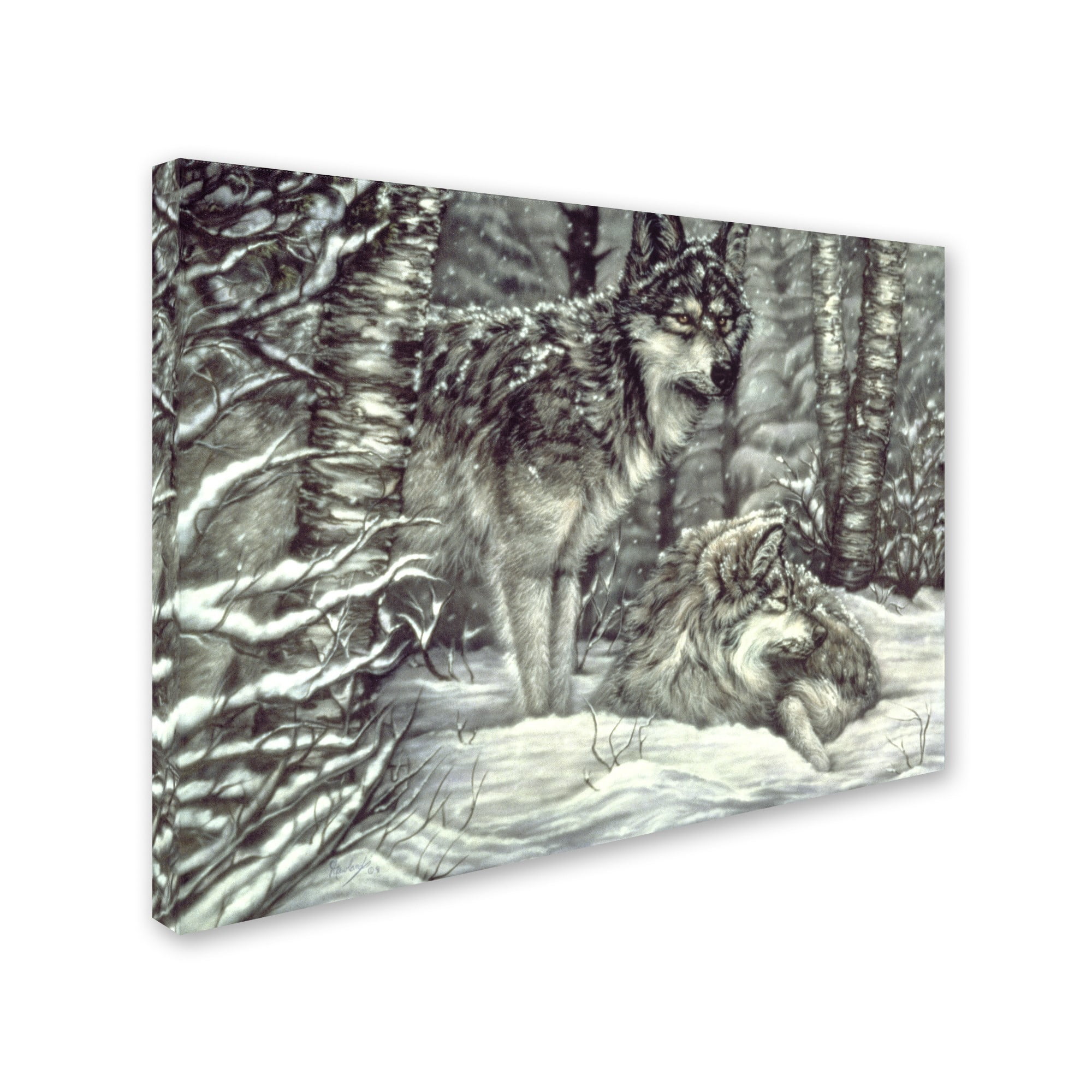 Trademark Fine Art 'Bedding Down' Canvas Art by Jenny Newland