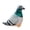 A, variant on zhonghuaying Pigeons Plush Toy - Rock Columba Rupestris Stuffed Animal, Cute Rock Pigeons Plush Toy as Gift for Your Friends boys girls Birthday Christmas Giftware 7.8 inches (A)