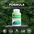 thumbnail image 5 of Best Naturals Berberine 500mg - 120 Capsules - Made in The USA - Gluten Free - GMP Approved (3 Bottles), 5 of 8