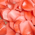 thumbnail image 4 of 5000 Orange Rose Petals- Beautiful Fresh Cut Flowers- Express Delivery, 4 of 4