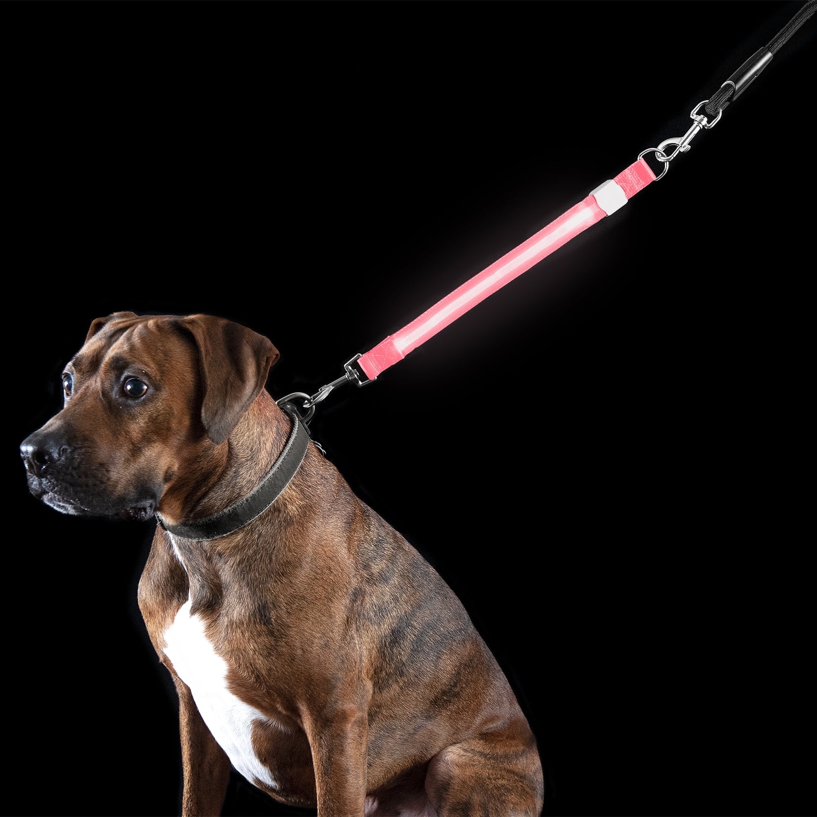 FurHaven Pet Dog Collar Safety LED LightUp Leash Extender, Pink