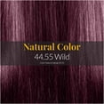 thumbnail image 3 of Hair Solution Gold 90 grams / 3.17 oz Hair Dye Wild 44.55 Color - Hair Dye Permanent + Peroxide Cream Vol 10 + Hair Care Gloves, 3 of 8