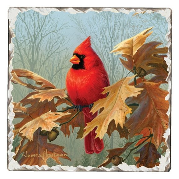 CounterArt "Style 2 Cardinals" 1 Pack Single Absorbent Tumbled Tile Coaster 4" Square