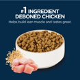 thumbnail image 4 of Authorityalimentation Sèche pour Chiot Santé Quotidienne Poulet et Riz, 4 of 4