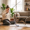 thumbnail image 4 of Tong Retractable Interactive Teaser Wand Exercising Stick For Puppy Small Medium & Cats Boredom & Training, 4 of 4