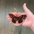 thumbnail image 4 of Cecropia Moth - Cedar Ornament, 4 of 4