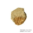 thumbnail image 4 of SHISUYAN 2Pcs Trilobite Paleontology Fun Science Ornaments Teaching Props, 4 of 9