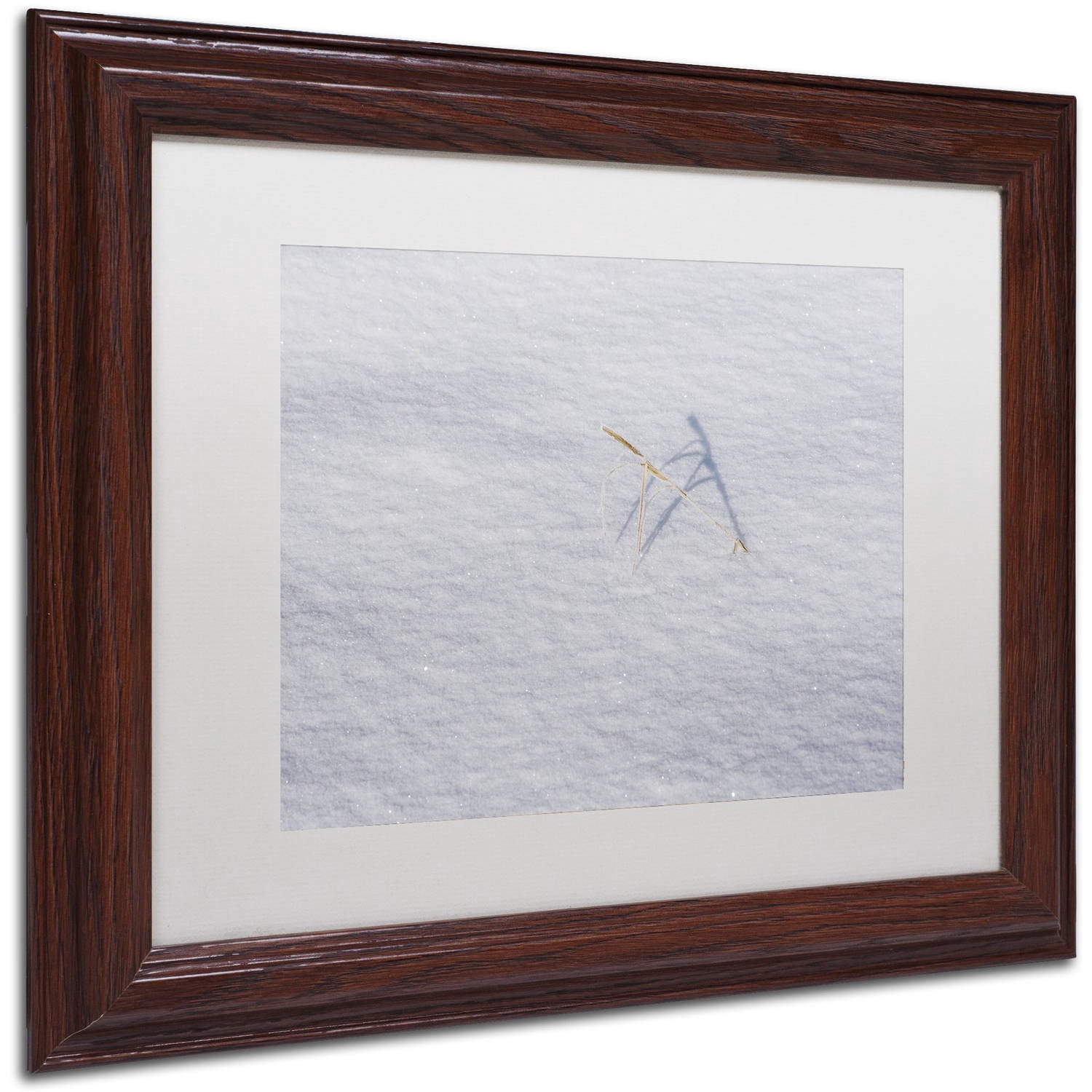 Trademark Fine Art "Winters Bleak Beauty" Canvas Art by Kurt Shaffer White Mat, Wood Frame
