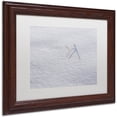 thumbnail image 2 of Trademark Fine Art "Winters Bleak Beauty" Canvas Art by Kurt Shaffer White Mat, Wood Frame, 2 of 4