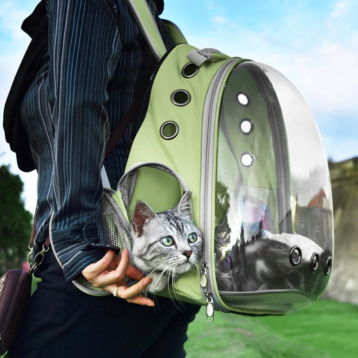 DENZUS Bubble Expandable & Foldable Cat Backpack Carrier, Breathable Pet Backpack for Large Cats, Designed for Hiking, Travelling, Camping