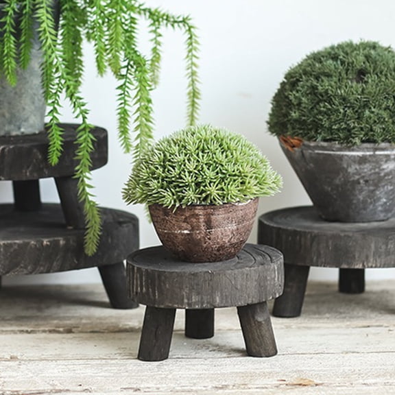 REOFLYUP Indoor Plant Stand With Pot Black Wood Food Photography Props 1Set