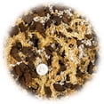 thumbnail image 3 of Premium Sphagnum Moss, Perlite and New Zealand Pine Bark Blend for Carnivorous Plants - Perfect for Venus Fly Traps, Pitcher Plants, Sarracenia, Butterworts, and Sundews - 4 Quart Bag, 3 of 5