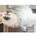 thumbnail image 1 of Lindo juguete de peluche, almohada de animales marinos, almohada Blob Blob, almohada de animales marinos, integración perfecta, 1 of 12