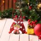 thumbnail image 1 of Bolsa de regalo de Navidad Bolsa de regalo de Nochebuena Bolsa de manzana Bolso creativo Bolsa de dulces de muñeco de nieve de Santa Wmkox8yii  HFSH2798, 1 of 1