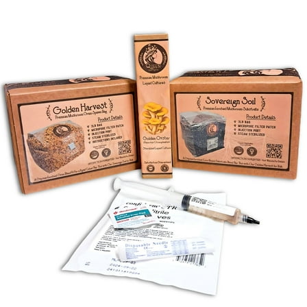 Golden Oyster Mushroom | 6LB All-In-One Mushroom Grow Kit