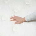 thumbnail image 5 of Distinction Series Springwall Chiropratique Port, 5 of 5