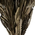 thumbnail image 4 of Vickerman 12" Autumn Banksia Foliage & Flowers-Preserved, 4 oz Bundle, 4 of 6