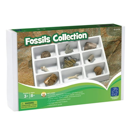 Educational Insights Fossil Collection 9 Pieces with Storage Tray  Ages 8+