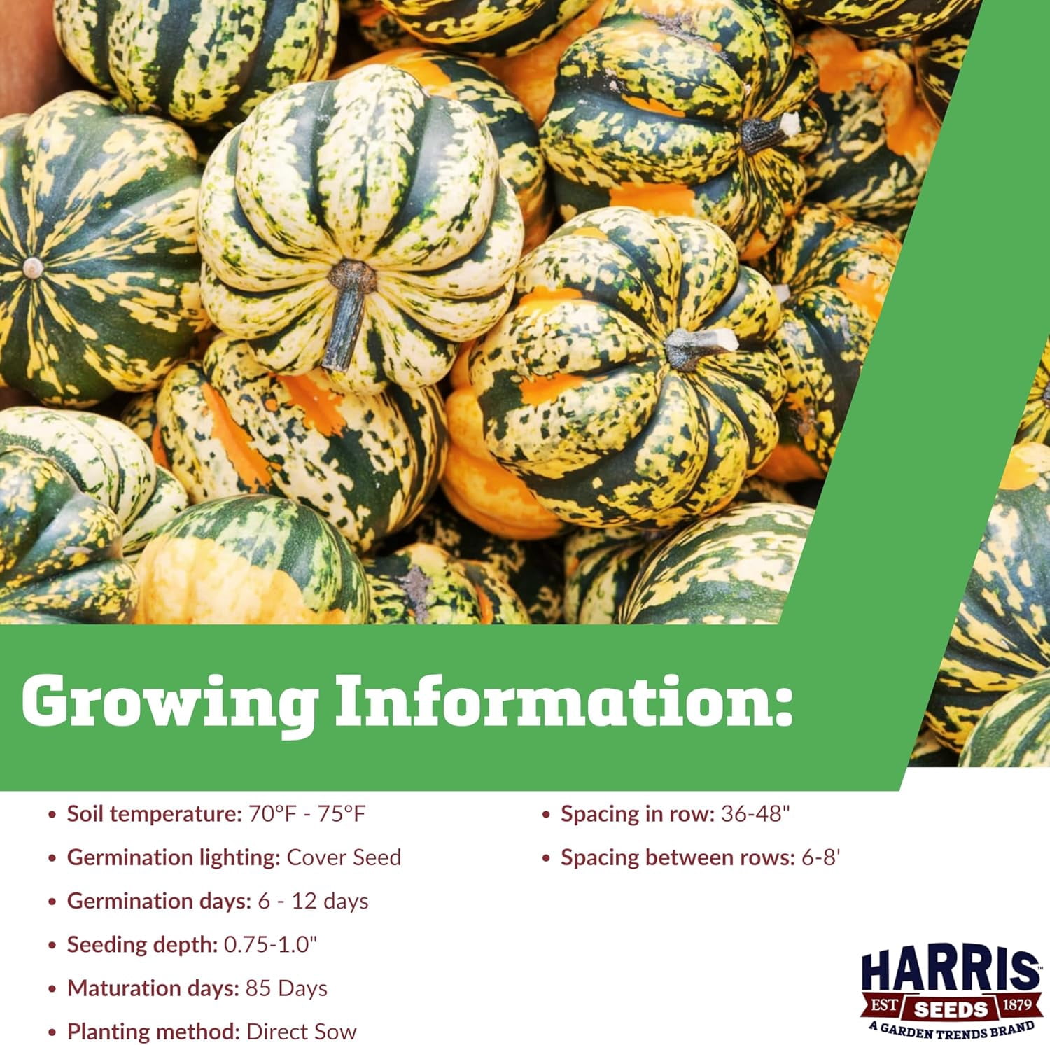 Harris Seeds Squash Carnival Seed - Thumbnail 4