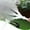 White A, variant on Gecau Multi- Garden Sprayer Porous Spray,Garden Tools Watering Vegetable Garden Watering Pipe Spray Water Sprinkler Sprayer Nozzle White Decorative 11.2x1