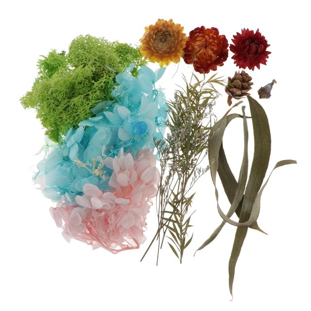 Flor de Hojas Reales Secas Naturales para Aromáticas, Jabón, Tarjetas de Bricolaje, álbum de Recortes - H, 20g H perfecl flores de hojas secas naturales
