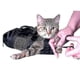 thumbnail image 1 of Cat Grooming Bath Restraint Bag Claw Nail Trimming, 1 of 3