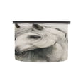thumbnail image 2 of 30OZ Food Storage Can - Keep Coffee Tea Flour & More Fresh - Ideal for Cereal Nuts & Pet Food Elegant Long Mane White Horse, 2 of 9