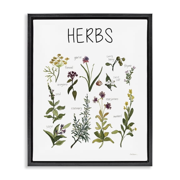 Stupell Industries Traditional Herbs Identification Chart Black Floating Frame Canvas Art, 17 x 21, by Carol Robinson