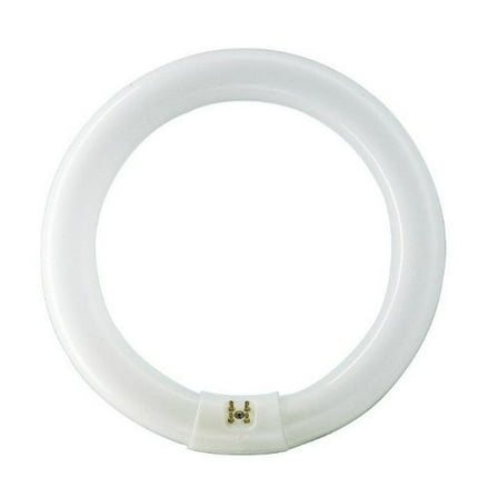Philips Circline Fluorescent T9 Light Bulb: 12-Inch, 4100-Kelvin, 32-Watt, Bi-Pin Base, Cool White