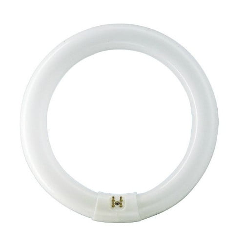 Philips Circline Fluorescent T9 Light Bulb: 12-Inch, 4100-Kelvin, 32-Watt, Bi-Pin Base, Cool White