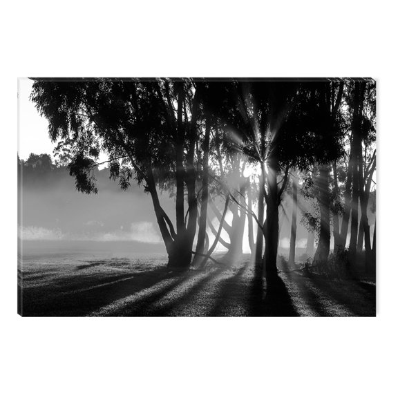 Startonight Canvas Wall Art Black and White Abstract Country Silence, Dual View Surprise Artwork Modern Framed Ready to Hang Wall Art 100% Original Art Painting 23.62 X 35.43 inch