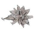thumbnail image 1 of Vickerman VICK-H2STAX300 12-16 Pouces Gris Lavé Star Pod - 1 Pce, 1 of 1