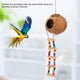 thumbnail image 5 of Cáscara de coco, loro, Nido de Pájaro, columpio, cama, cueva, juguetes con escalera, casa feliz Natural, suministro para mascotas, 5 of 8