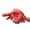Crab, variant on NCQ Shark Hand Puppet Realistic Plush Puppet 13", Puppets for Kids Ocean Animal Hand Puppet with Moveable Mouth,Soft Stuffed Shar k Puppet Story Toys Shark Puppets Role Play Teaching Gift