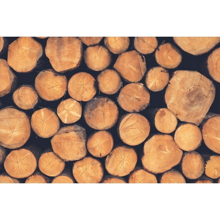 Laminated Poster Flat Lay Photography Of Logs Poster Print 24 x