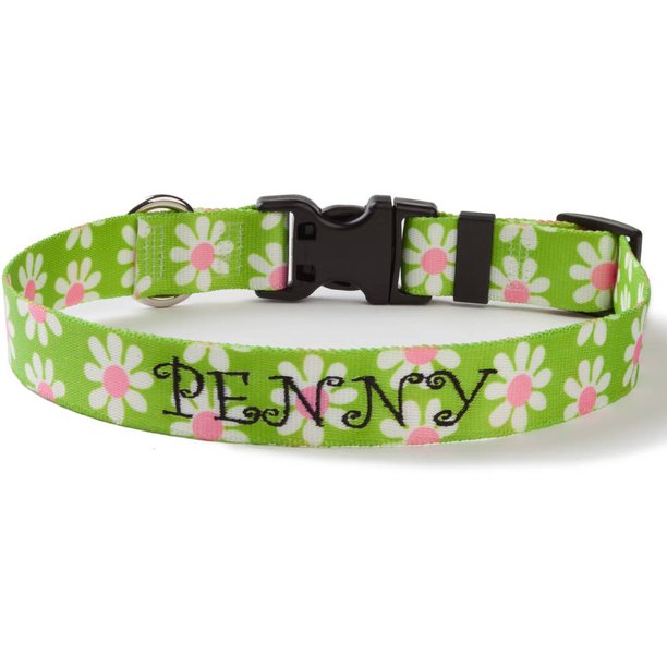 Personalized Green Daisy Dog Collar, Large